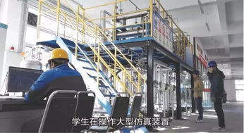 石油化工技術(shù)與市場(chǎng)銷售 產(chǎn)業(yè)鏈協(xié)同發(fā)展的雙輪驅(qū)動(dòng)